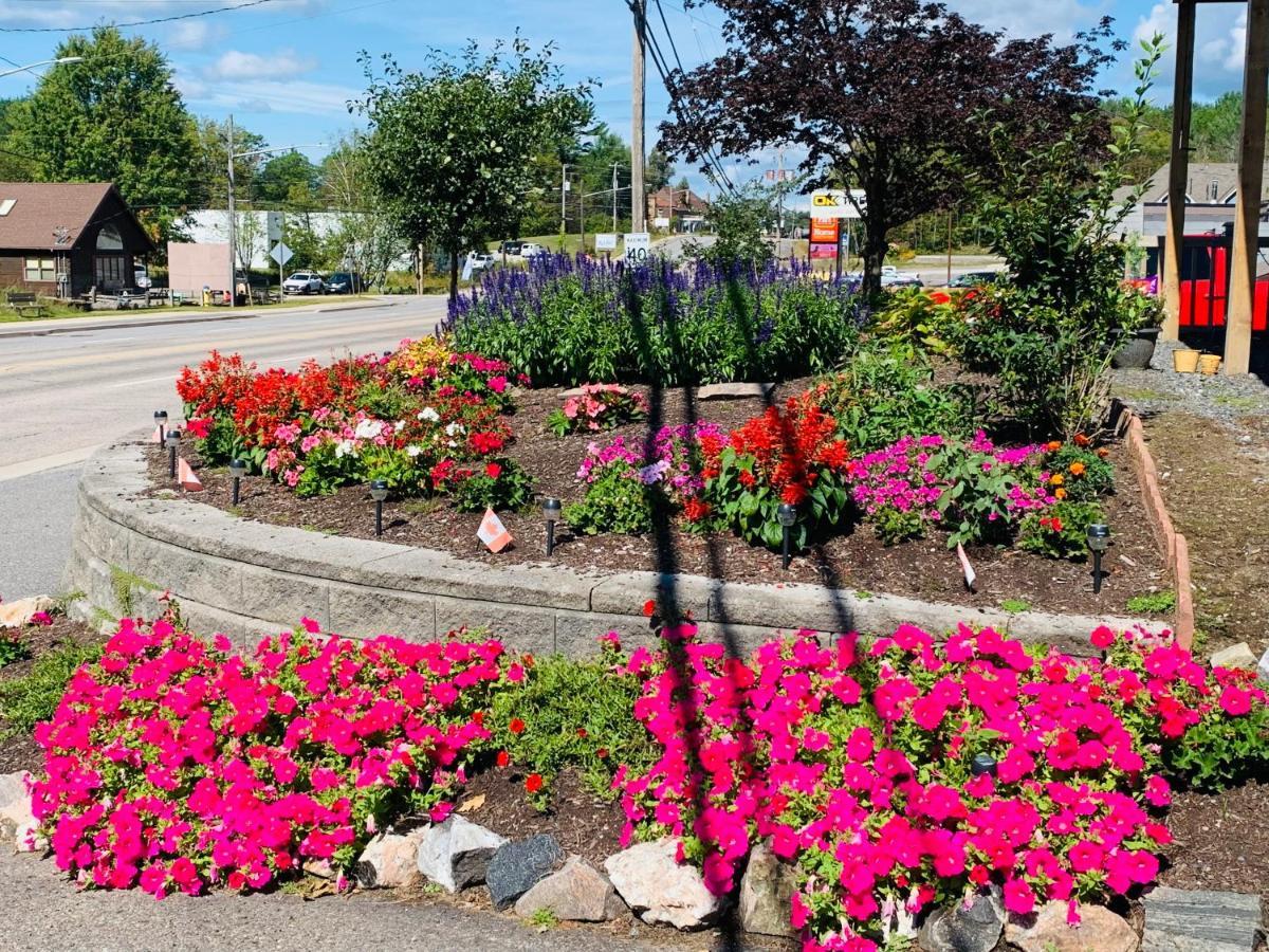Town & Country Motel Parry Sound Ngoại thất bức ảnh